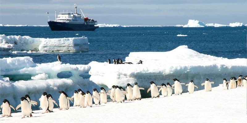 Antarktis - Abenteuer im ewigen Eis