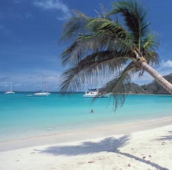 Karibik Katamaran