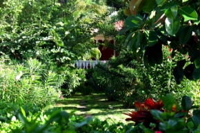 St.Barthélemy/ Hotel Tropical, Bugalow in herrlich tropischem Garten