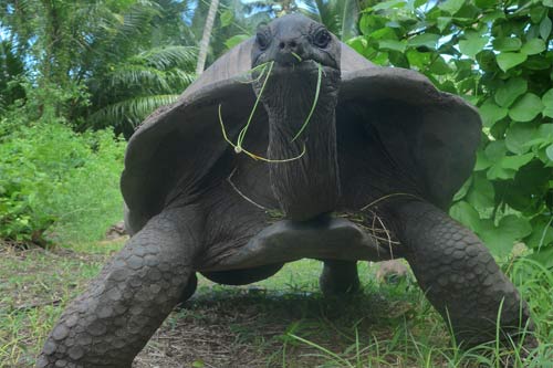 Seychellen 3 Inselhopping