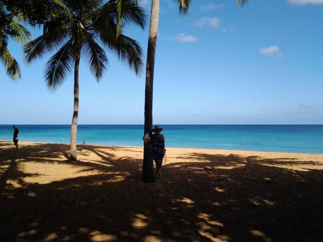 Guadeloupe + Dominica Erfahrungen | Reiseblog