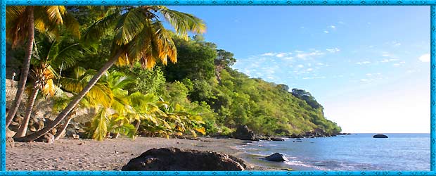 Dominica Reisen / Urlaub individuell