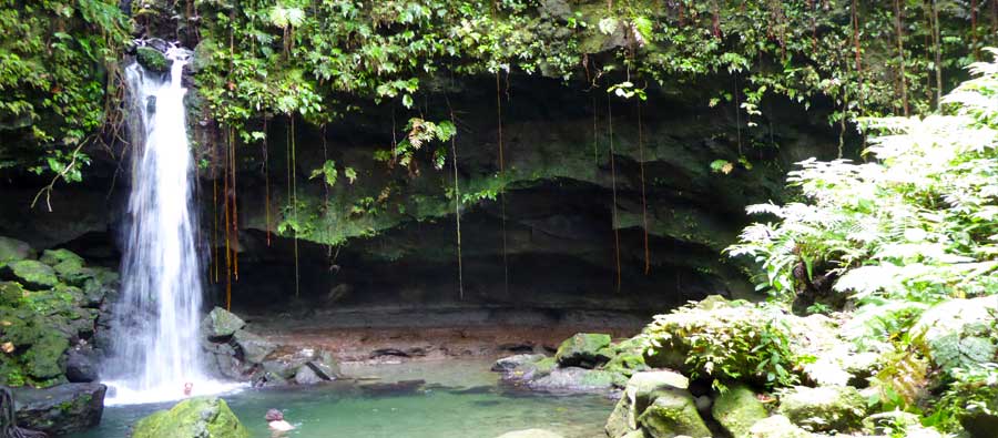 Emerald Pool - Dominica