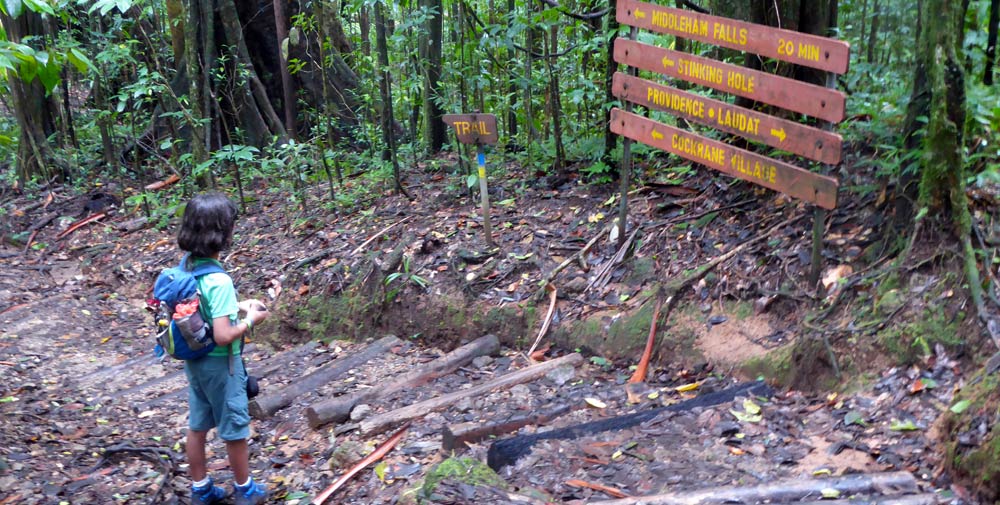 Wanderung en auf Dominica