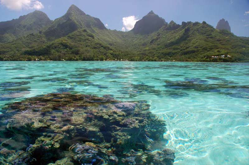 Moorea