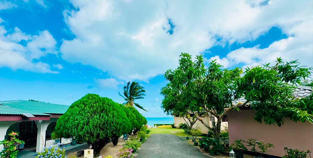 Pension Taravanui