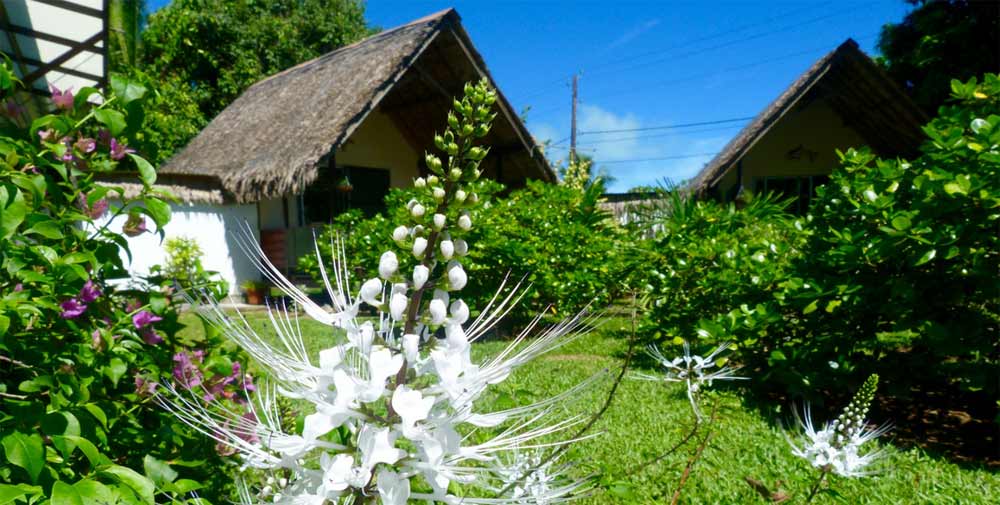 Pension Au Phil Du Temps Tahaa