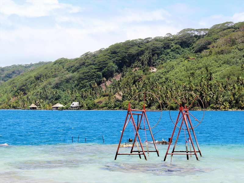 Pension L' Hibiscus Taha'a