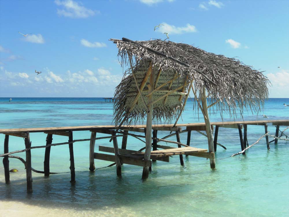 Pension Tokerau Village