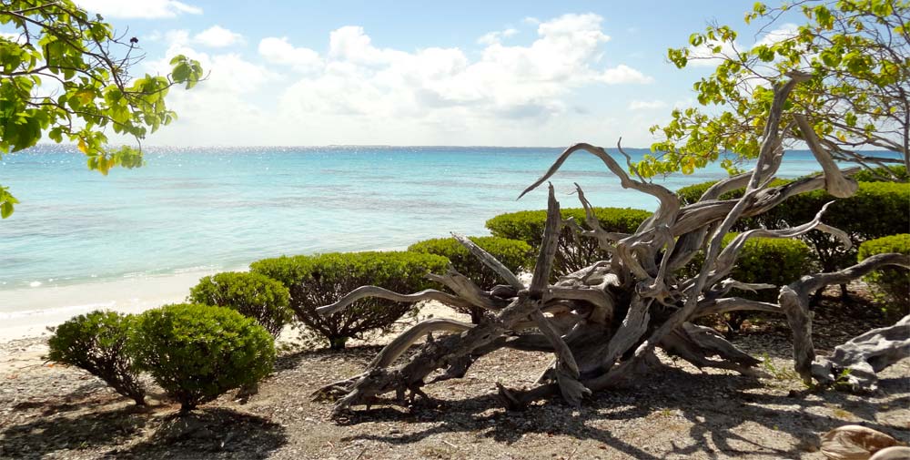 Pension Tokerau Village