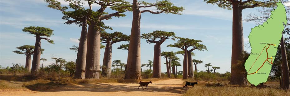 Exotische Faszination Madagaskar