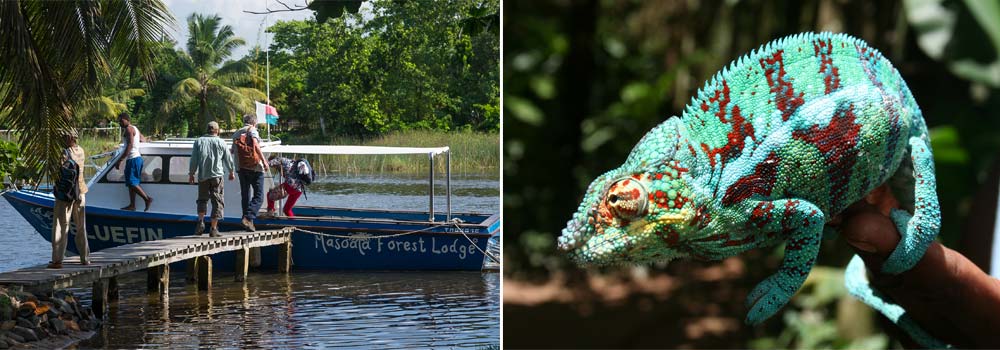 Masoala Forest - Nationalpark Madagaskar