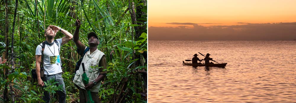 Masoala Forest - Nationalpark Madagaskar