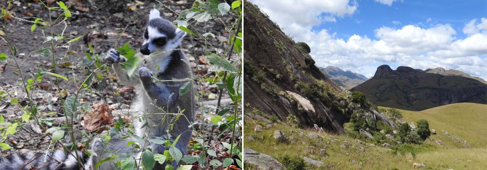 Madagaskar Individualreise