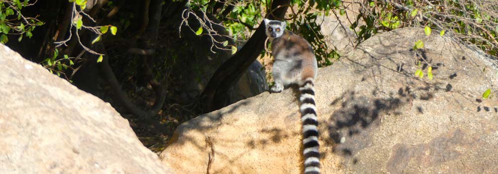 Madagaskar Individualreise