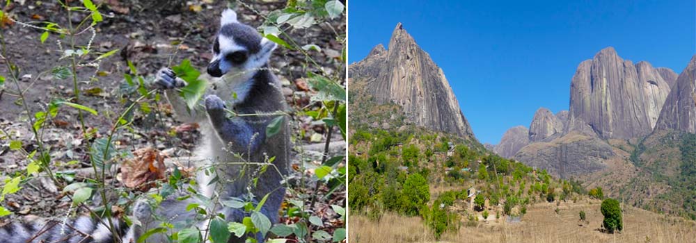 Madagaskar Individualreise