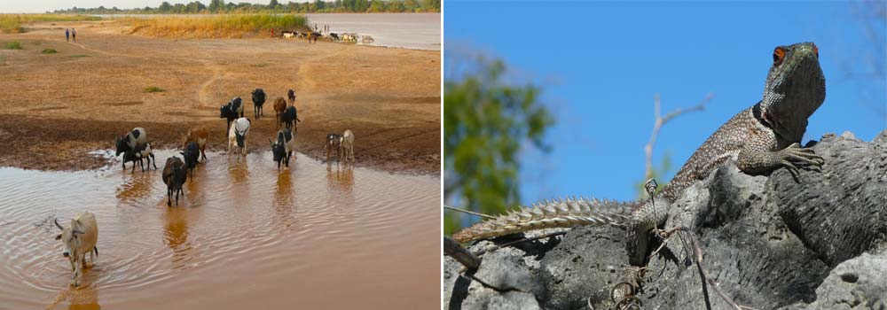 Madagaskar Reise