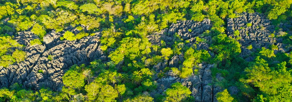 Madagaskar Individualreise