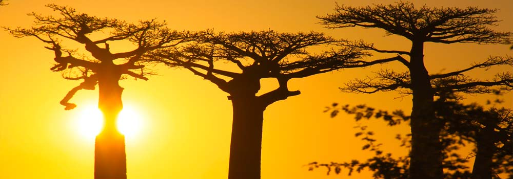 Madagaskar Individualreise