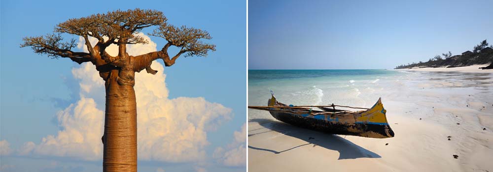 Madagaskar Individualreise