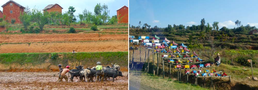 Individueller Urlaub in Madagaskar