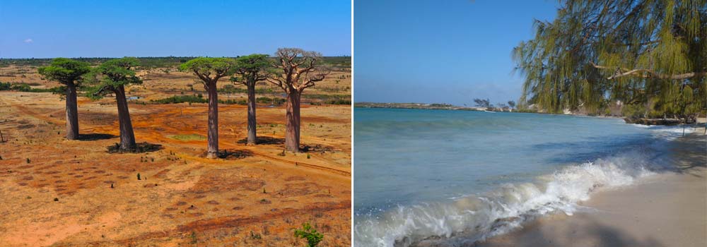 Madagaskar Individualreise