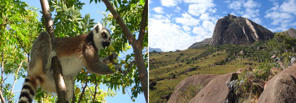 Madagaskar Individualreise