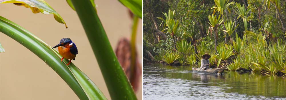 Individuelle Madagaskar Rundreise