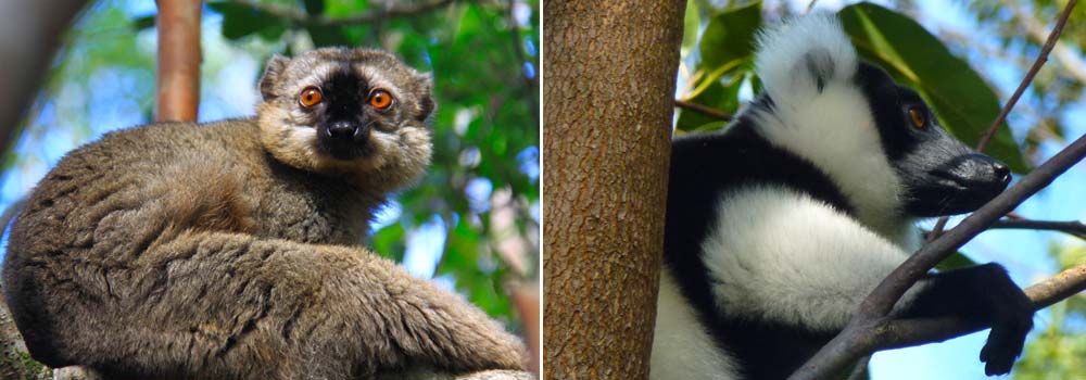 Individuelle Madagaskar Rundreise