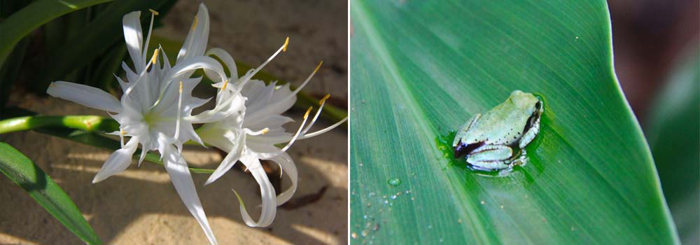 Individuelle Madagaskar Rundreise