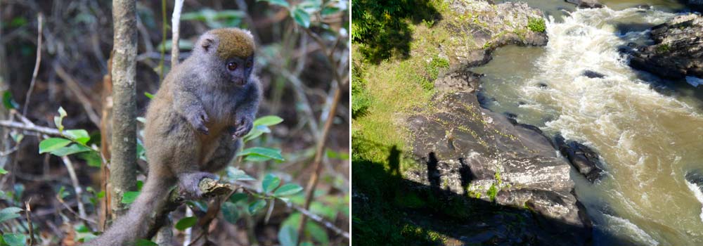 Individuelle Madagaskar Rundreise