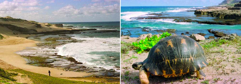 Individuelle Madagaskar Rundreise