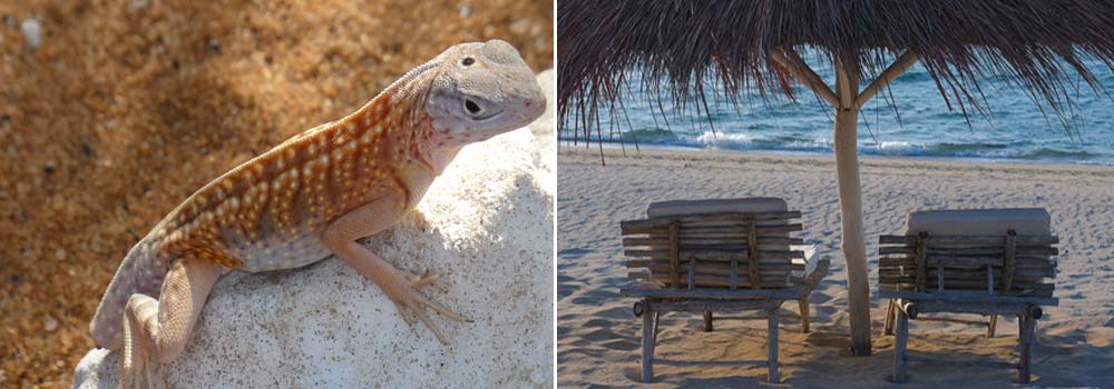 Individuelle Madagaskar Rundreise