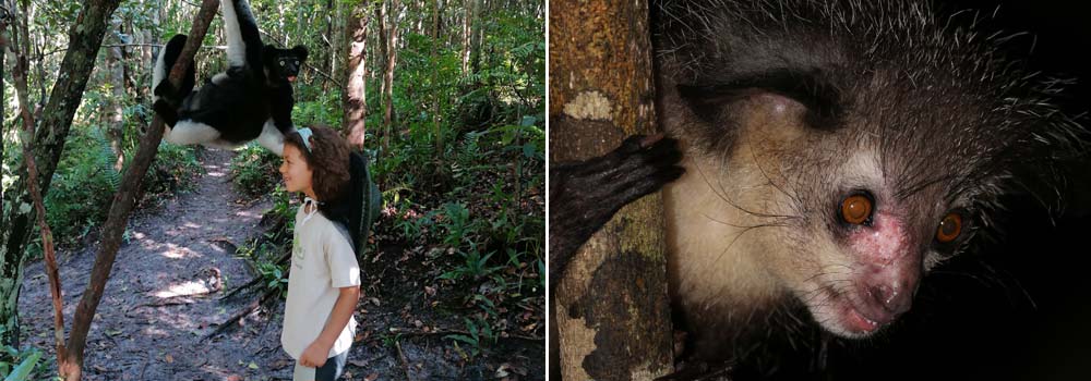 Madagaskar Individualreise