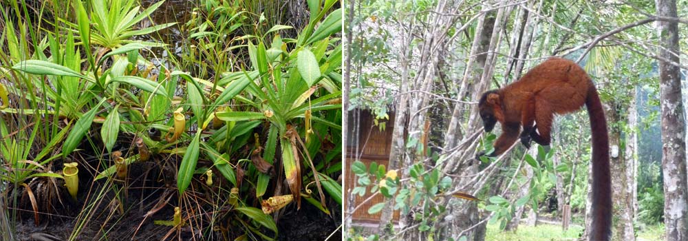 Madagaskar Individualreise