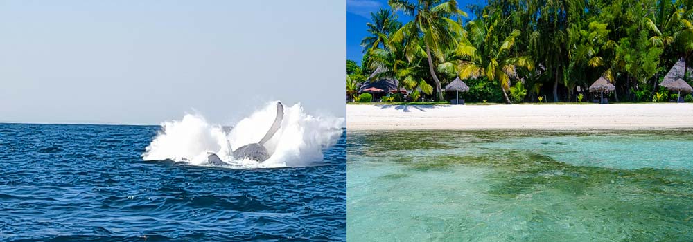 Madagaskar Badeurlaub