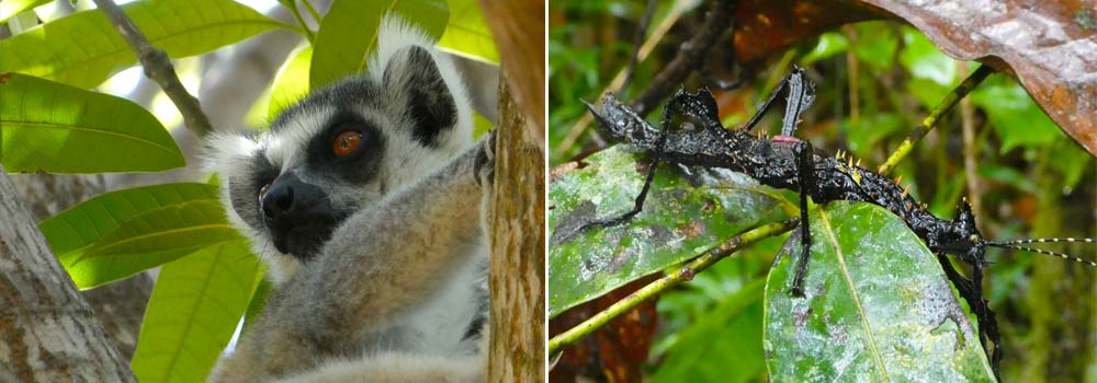 Madagaskar Individualreise