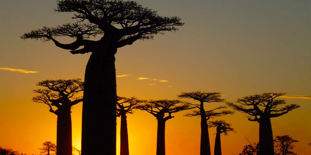 Geführte Rundreise durch Madagaskar