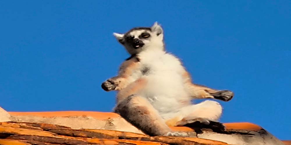 Geführte Rundreise durch Madagaskar