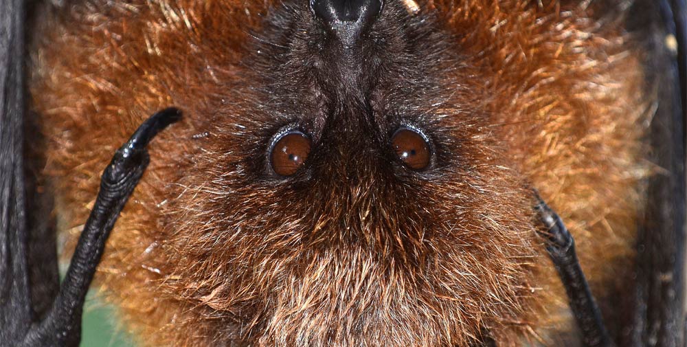 Unsere zufriedenen Rodrigues Kunden