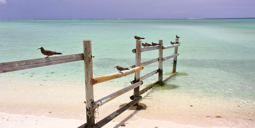 Warum sollte man nach Rodrigues reisen