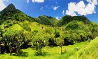 Wandern bei Sarramea