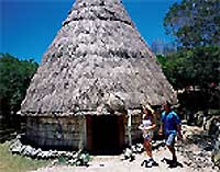 Trad. Haus