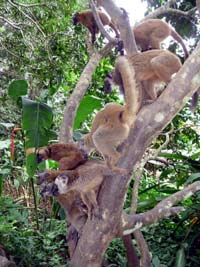 Mayotte