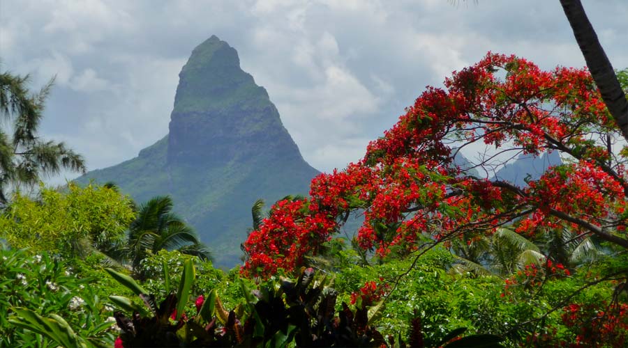 La Réunion und Mauritius