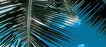 Seychellen Reisen Mahe + La Digue