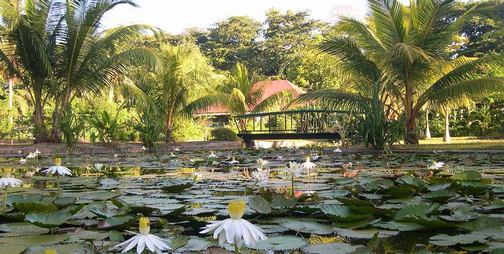 La Diguoise Guesthouse